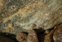water rocks stones bubbles macro Art HD Wallpaper